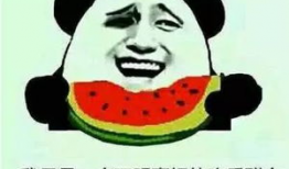 我不是废柴娱乐吃瓜,娱乐吃瓜背后的励志故事