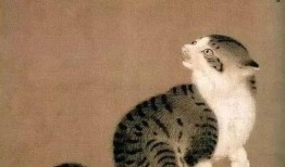 娱乐吃瓜猫捉鸟,一场趣味横生的捉鸟大戏