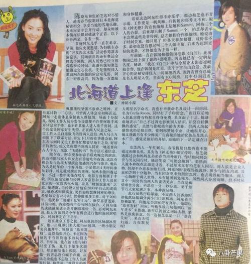 娱乐圈吃瓜小说免费阅读