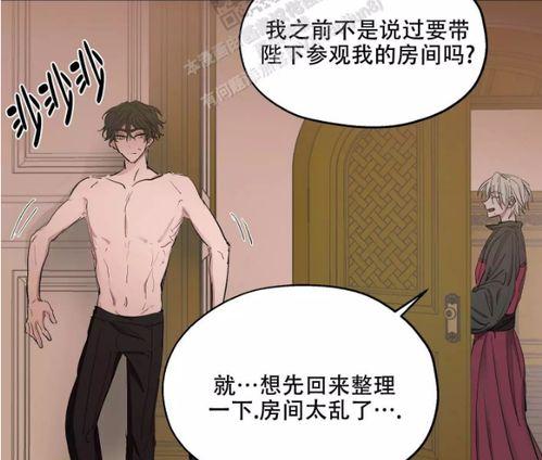 bl漫画怀孕,BL漫画中的甜蜜孕育之旅